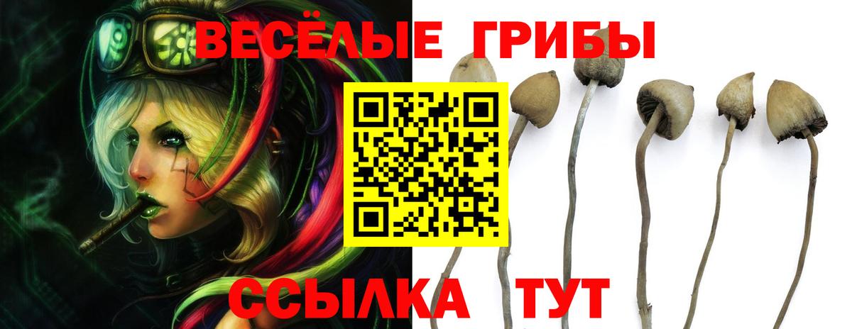 Заречный  Псилоцибиновые грибы мухоморы  Вход с VPN 